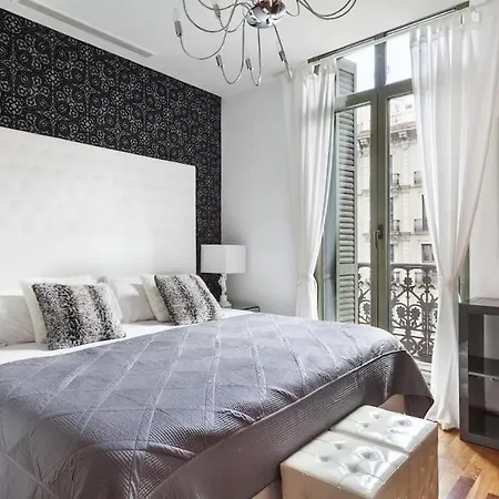 Canela Homes Universitat